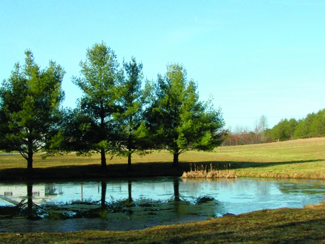 Zakat Foundation of America - Wasting Natural Resources: Running Out of Freshwater