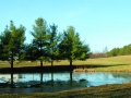 Zakat Foundation of America - Wasting Natural Resources: Running Out of Freshwater