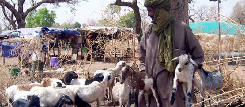 Zakat Foundation of America - Mali Humanitarian Relief