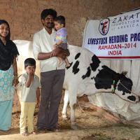 Zakat Foundation of America - Livestock Gift Gives Earning Power to Indian Mother and Family