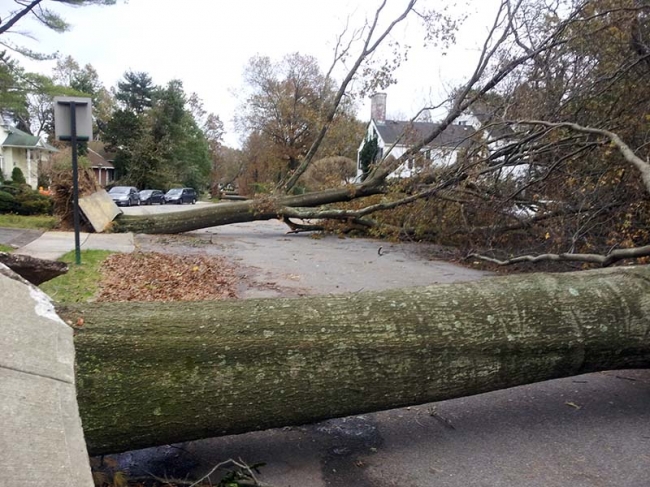 Zakat Foundation of America - ZF Responds to Hurricane Sandy