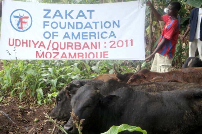 Zakat Foundation of America - 2011 Udhiya-Qurbani