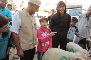 Zakat Foundation of America - 2013 Udhiya-Qurbani - Syria