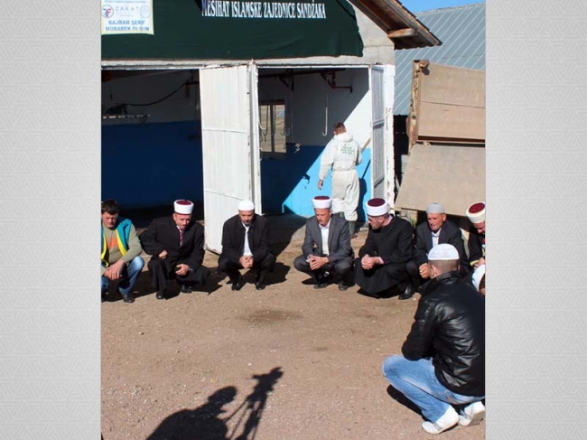 Zakat Foundation of America - 2012 Udhiya-Qurbani