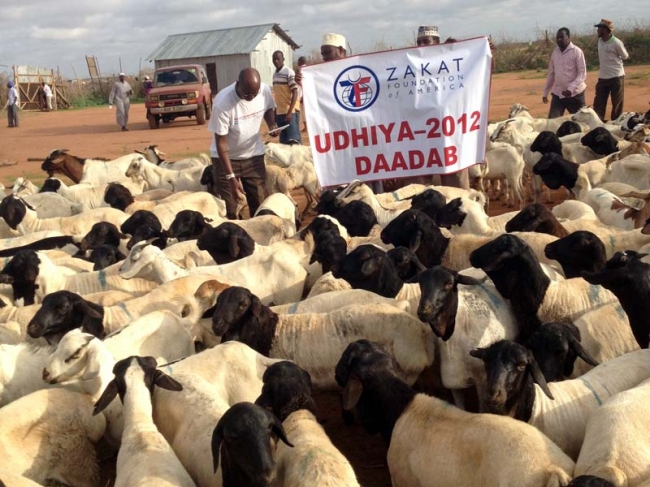 Zakat Foundation of America - 2012 Udhiya-Qurbani