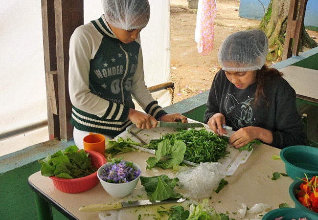 arabic.zakat.org