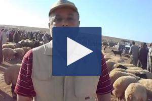 Zakat Foundation of America - Udhiya/Qurbani for Syrians Amid Crisis