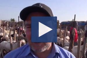 Zakat Foundation of America - ZF Executive Director Visits Mali in Preparation for Udhiya/Qurbani